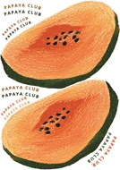 Picture of Papaya for bag and garments - DTF A4 - for DIY